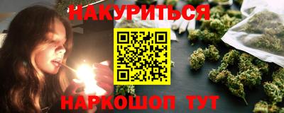 индика Кулебаки
